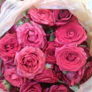 Chocolate rose