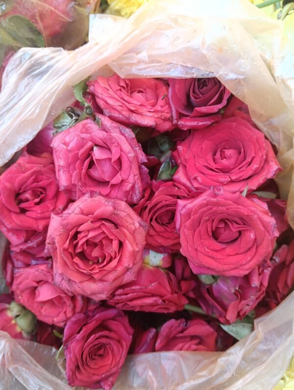 Chocolate rose