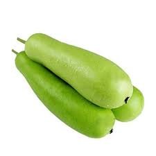 Bottle Gourd 1 Pcs